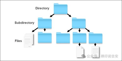 数据安全知识 零基础入门到精通的存储原理与安全防护全解析