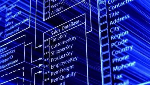 中华大地遍地带刺奇葩，找工作的你被刺到了吗？——聚焦数据处理与存储支持服务