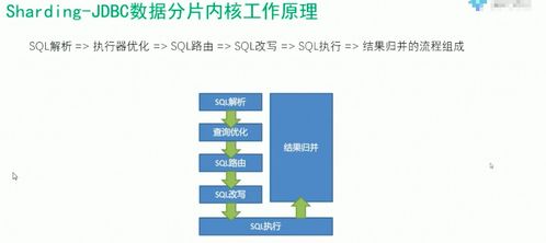 QNAP NAS环境下MySQL海量数据存储与分布式数据库解决方案探讨